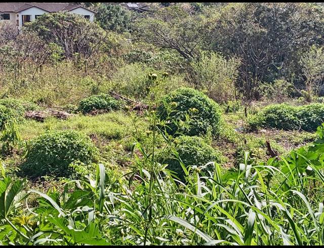 5,918M² VACANT LAND FOR SALE IN ASTRA PARK